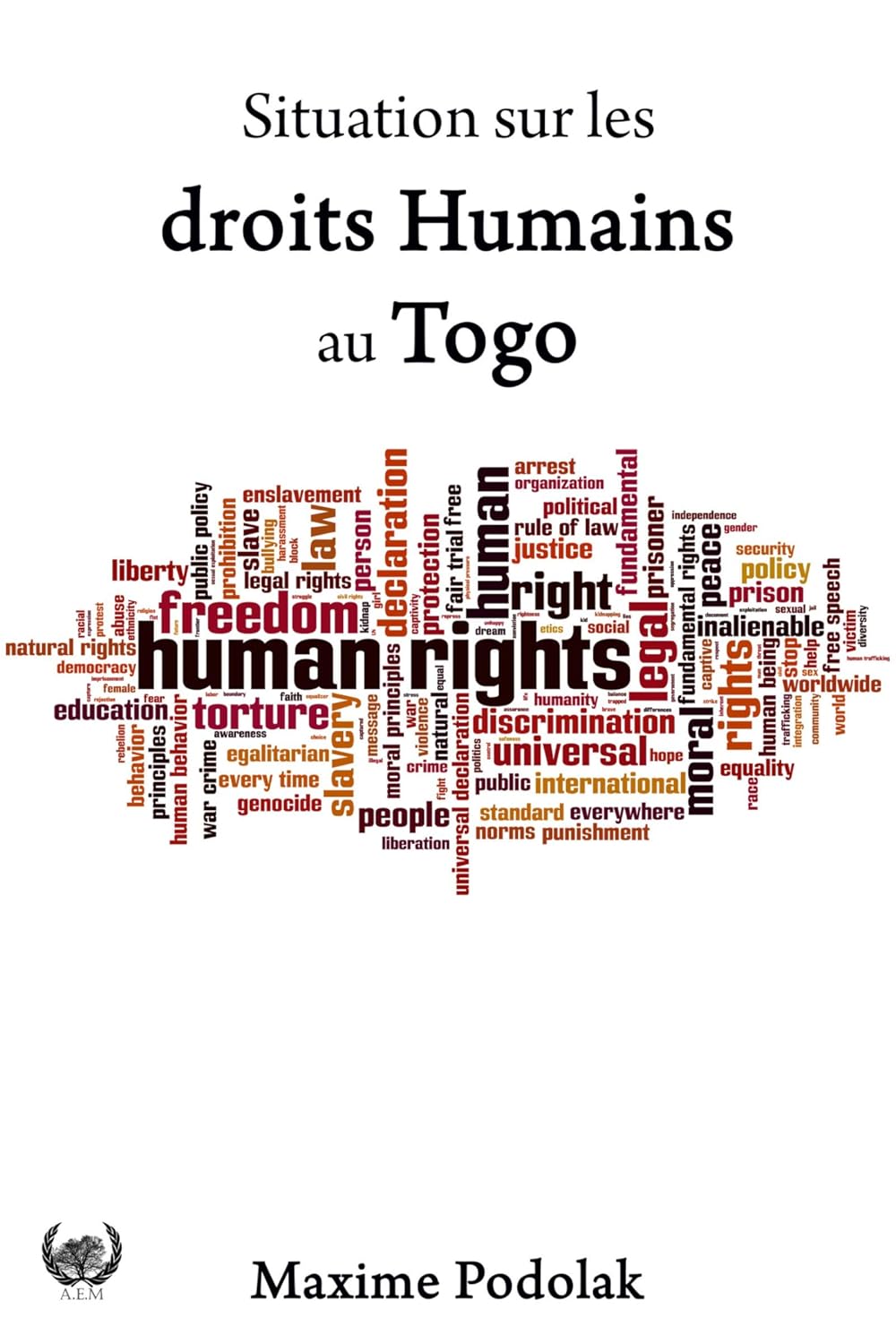 Situation sur les droits Humains au Togo: Une Analyse Juridique et Pratique (French Edition) baixar livro de graça