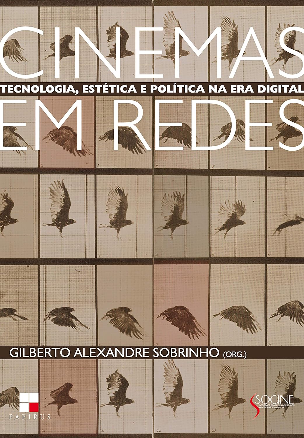 Cinemas em redes: Tecnologia, estética e política na era digital (Série de Estudos Socine) baixar livro de graça