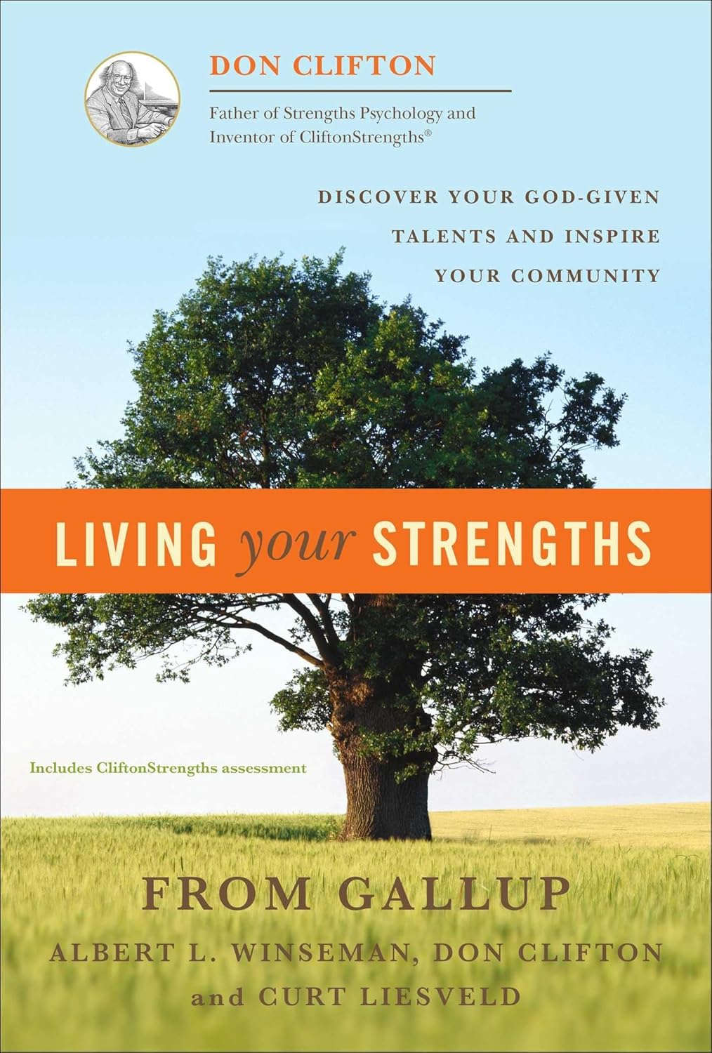 Living Your Strengths: Discover Your God-Given Talents and Inspire Your Community baixar o livro de graça
