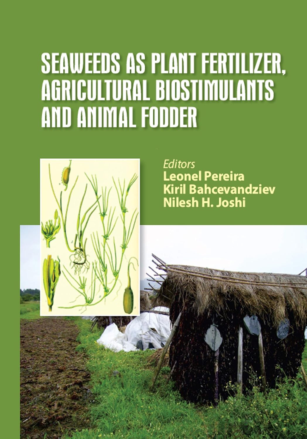 Seaweeds as Plant Fertilizer, Agricultural Biostimulants and Animal Fodder (English Edition) baixar o livro de graça