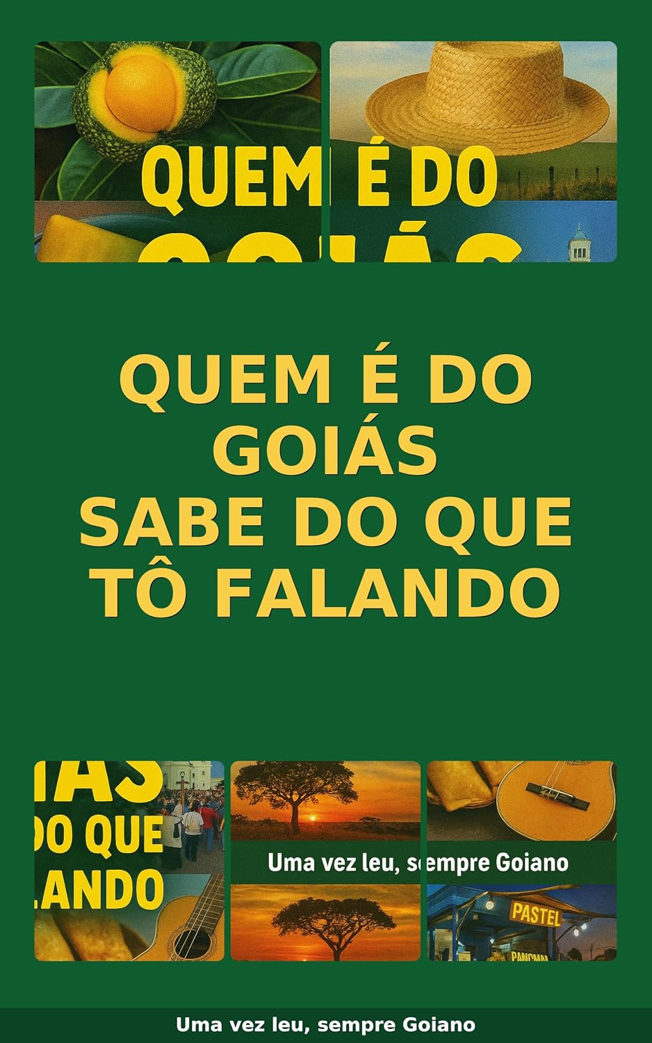 Quem é do Goiás Sabe do Que Tô Falando: Uma vez leu, sempre Goiano baixar livro de graça