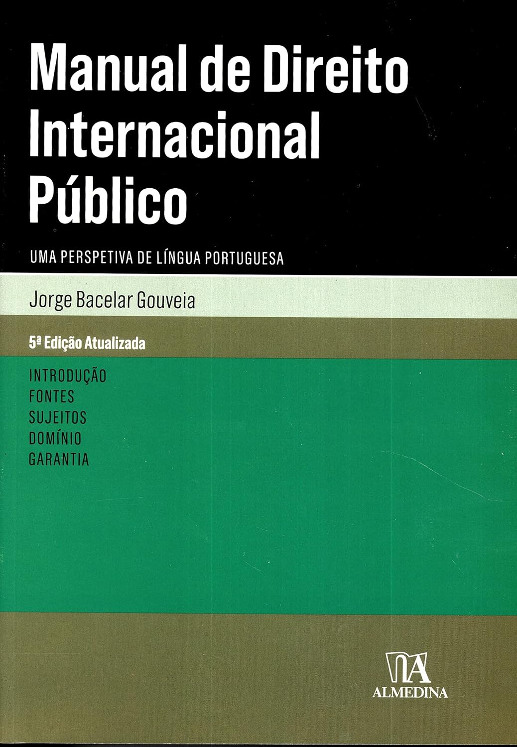 Manual de Direito Internacional Publico baixar o livro de graça