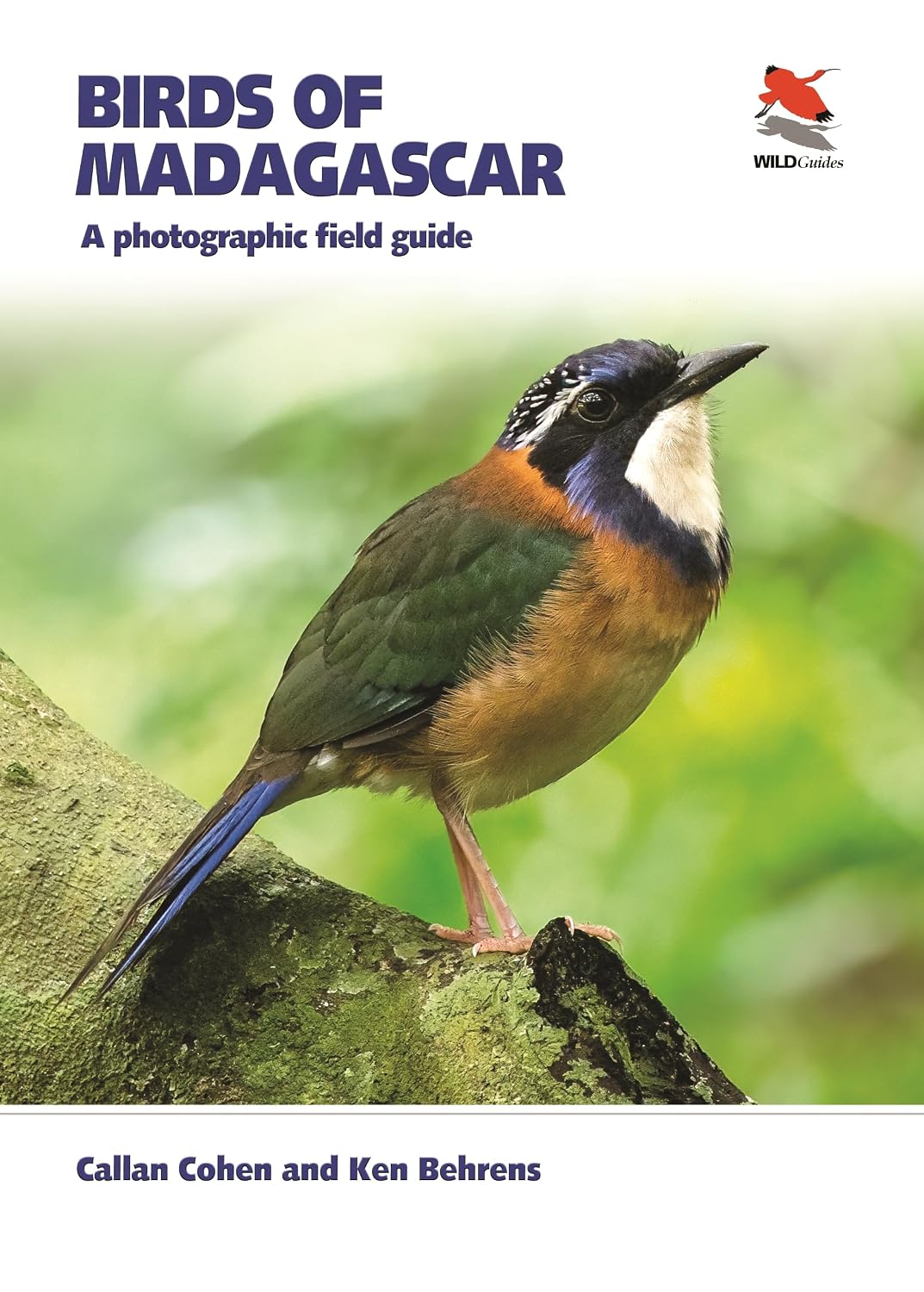 Birds of Madagascar: A Photographic Field Guide (WILDGuides) (English Edition) baixar livro de graça