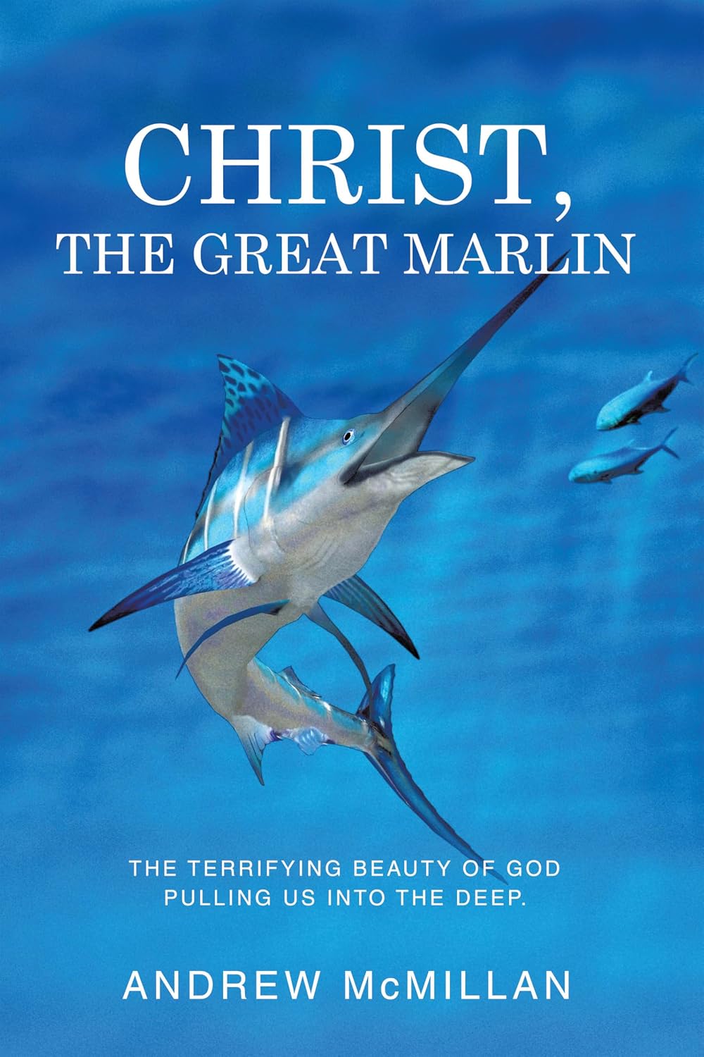 Christ, the Great Marlin: The Terrifying Beauty of God Pulling Us into the Deep. (English Edition) baixar livro de graça