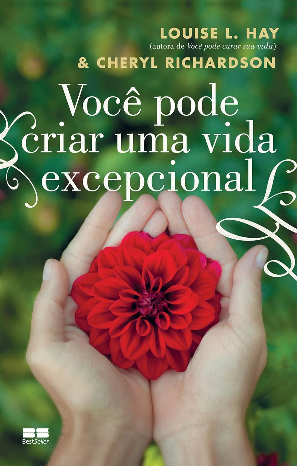 Você pode criar uma vida excepcional baixar livro de graça