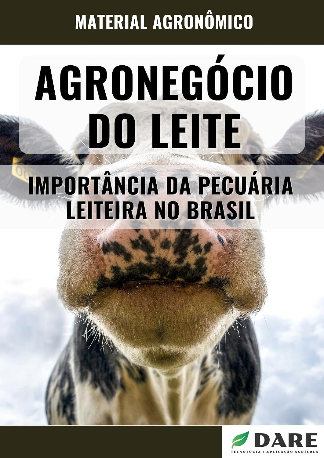 capítulo por capítulo baixar AGRONEGÓCIO DO LEITE: Importância da pecuária leiteira do Brasil