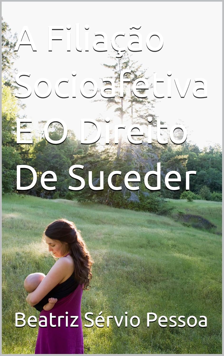 A Filiação Socioafetiva E O Direito De Suceder baixar livro de graça