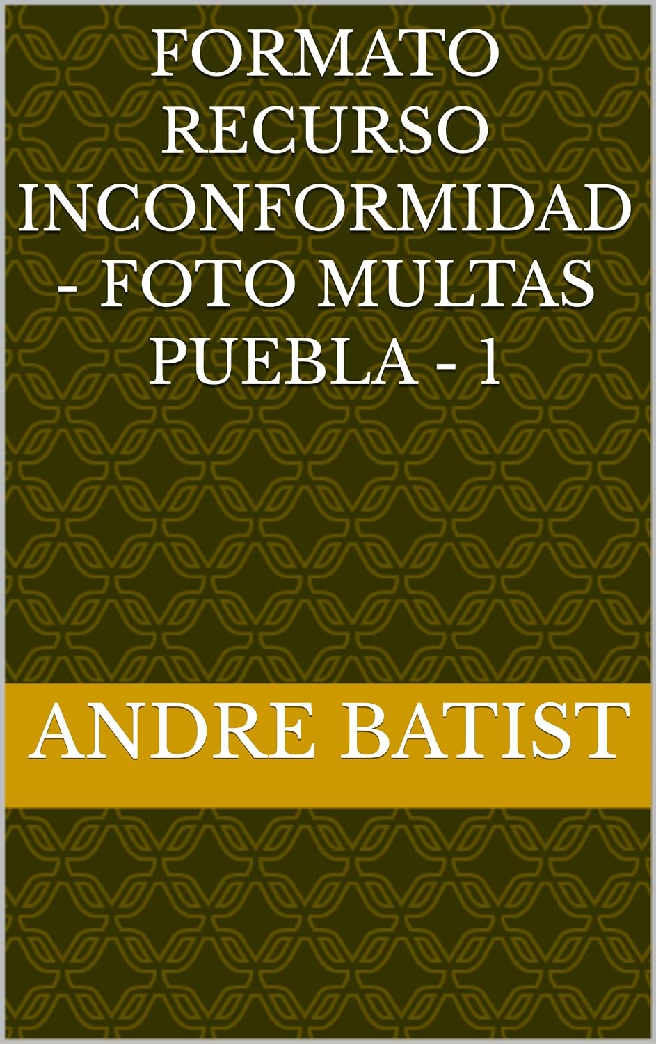 Formato Recurso Inconformidad - Foto Multas Puebla - 1 (Spanish Edition) baixar livro de graça