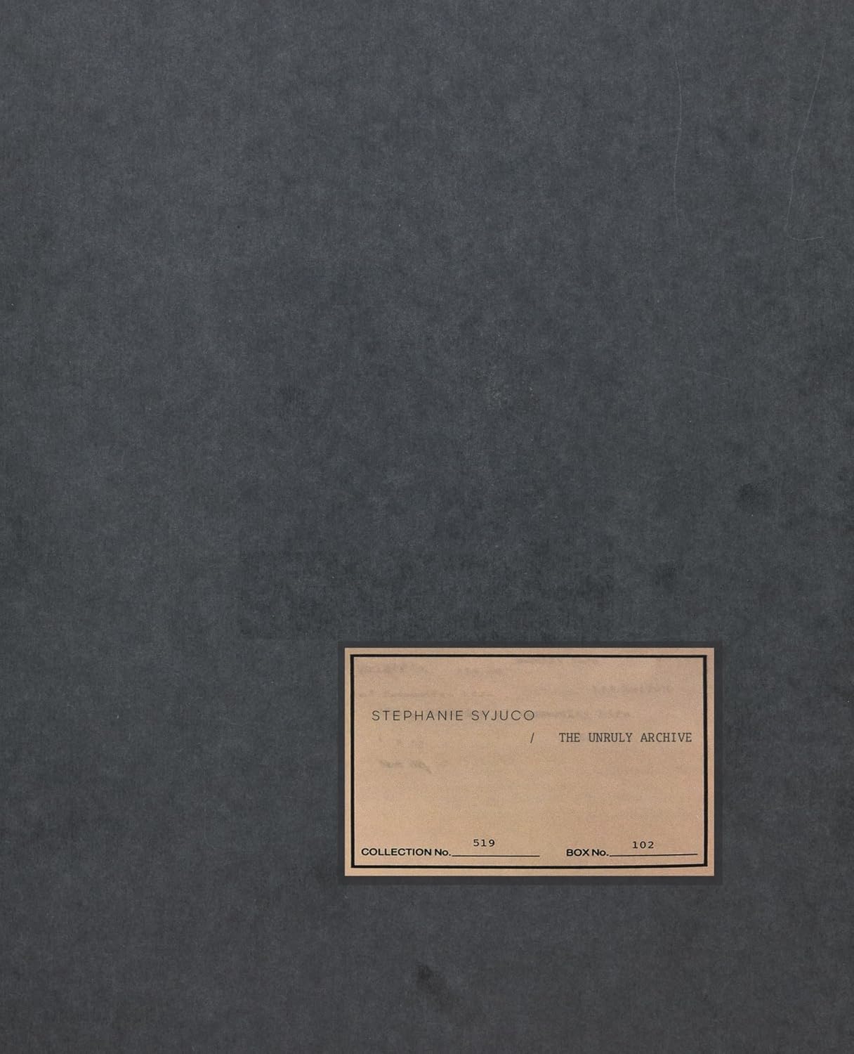 ler totalmente Stephanie Syjuco: The Unruly Archive