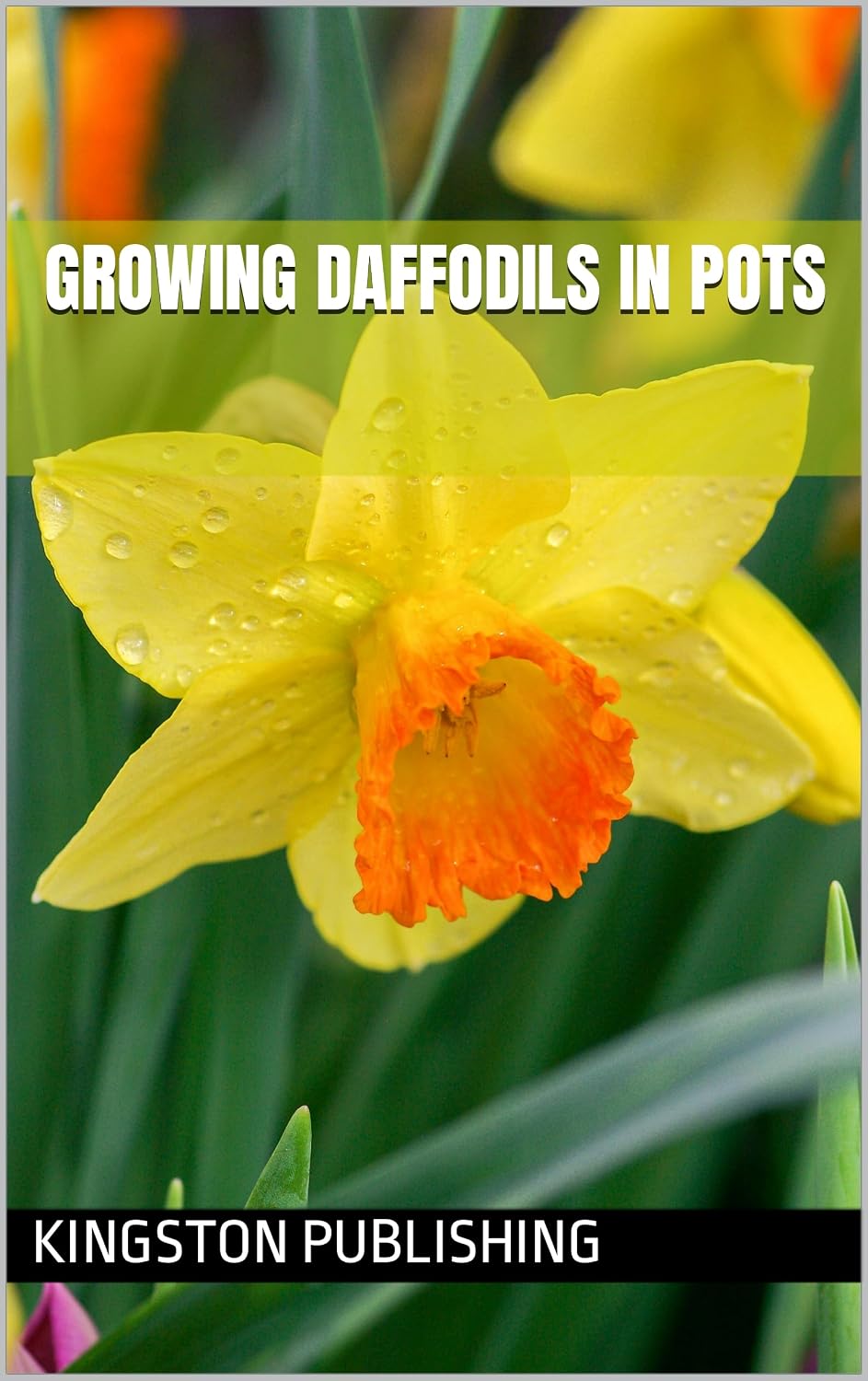 Growing Joyful Daffodils in Pots (Flowers) (English Edition) baixar o livro de graça