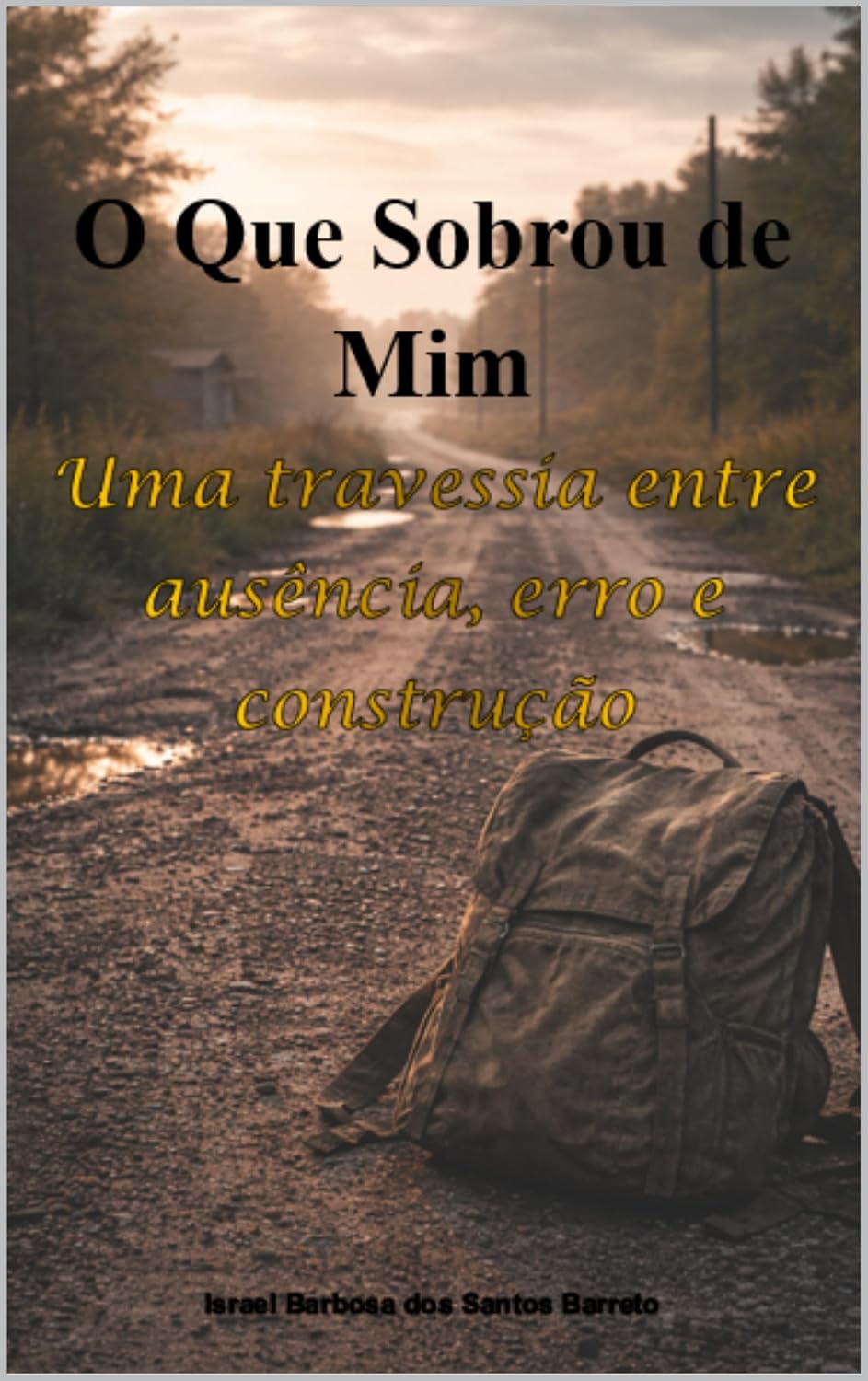 O que sobrou de mim: Uma travessia entre erro ausência, erro e construção baixar livro de graça