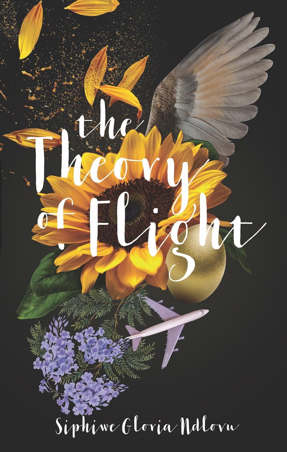 ler totalmente The Theory of Flight (English Edition)
