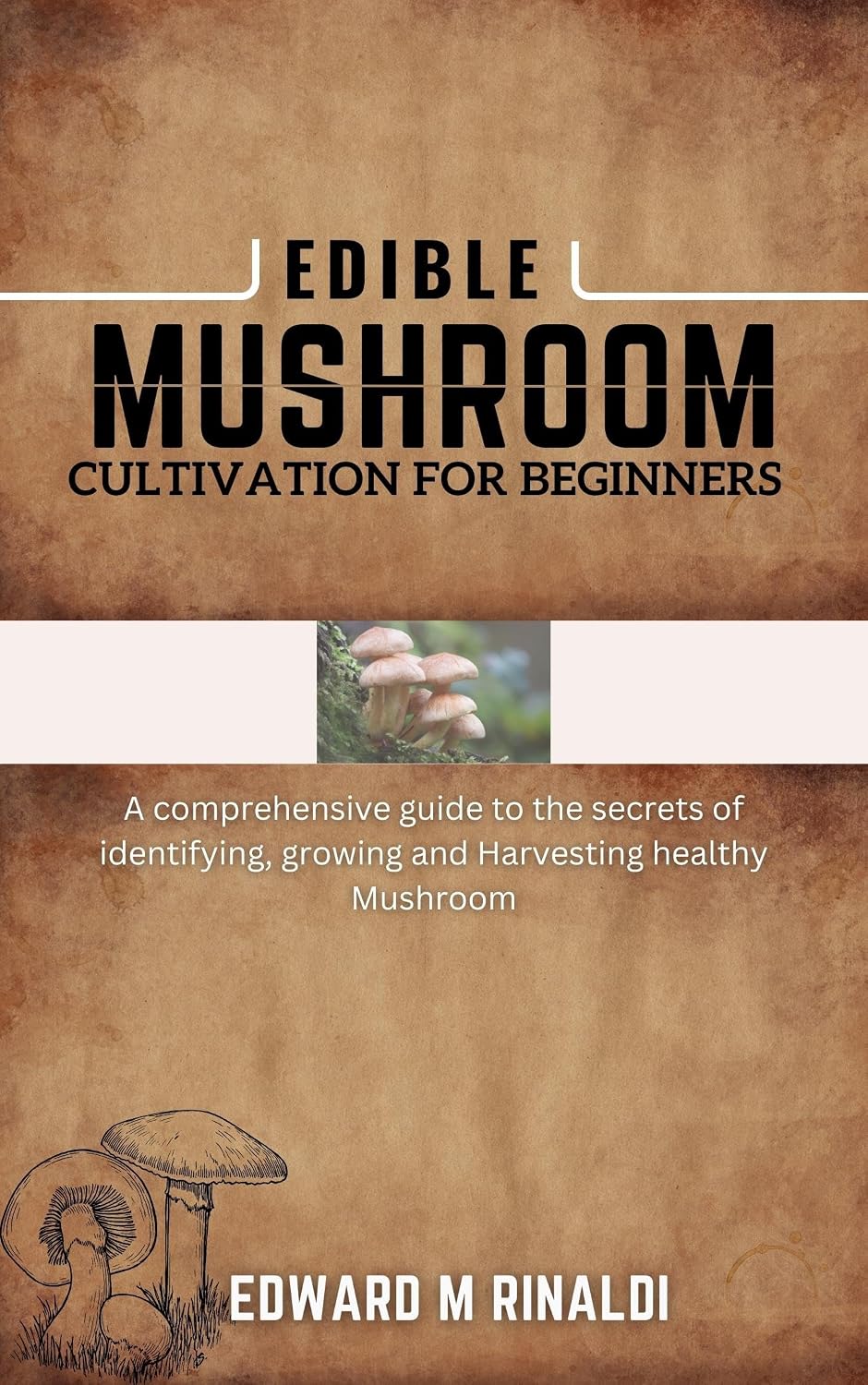 ler totalmente Edible Mushroom Cultivation for Beginners: A Comprehensive Guide to the Secrets of Identifying, Growing and Harvesting Healthy Mushroom (English Edition)