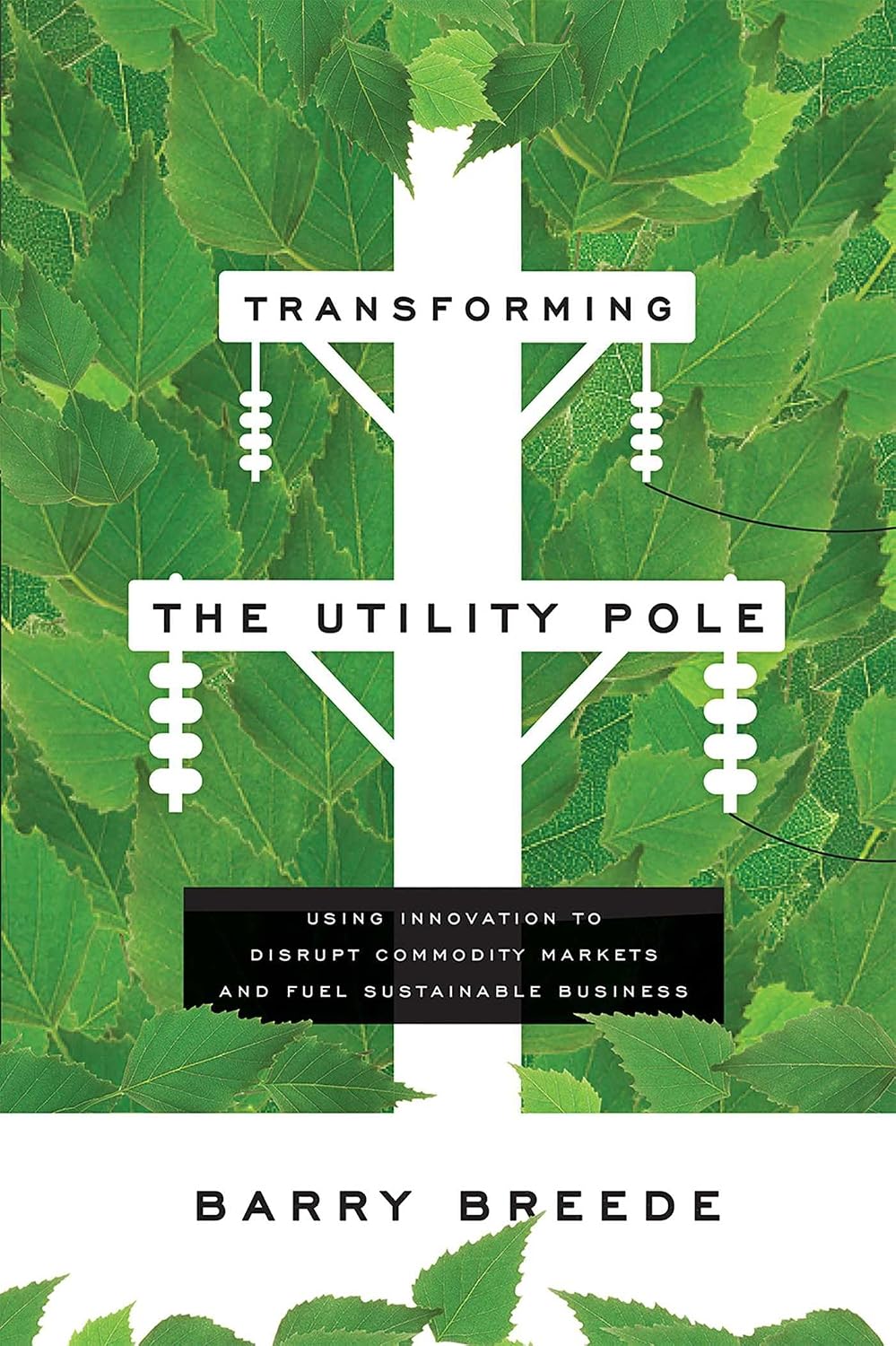 Transforming The Utility Pole: Using Innovation To Disrupt Commodity Markets And Fuel Sustainable Business (English Edition) baixar o livro de graça