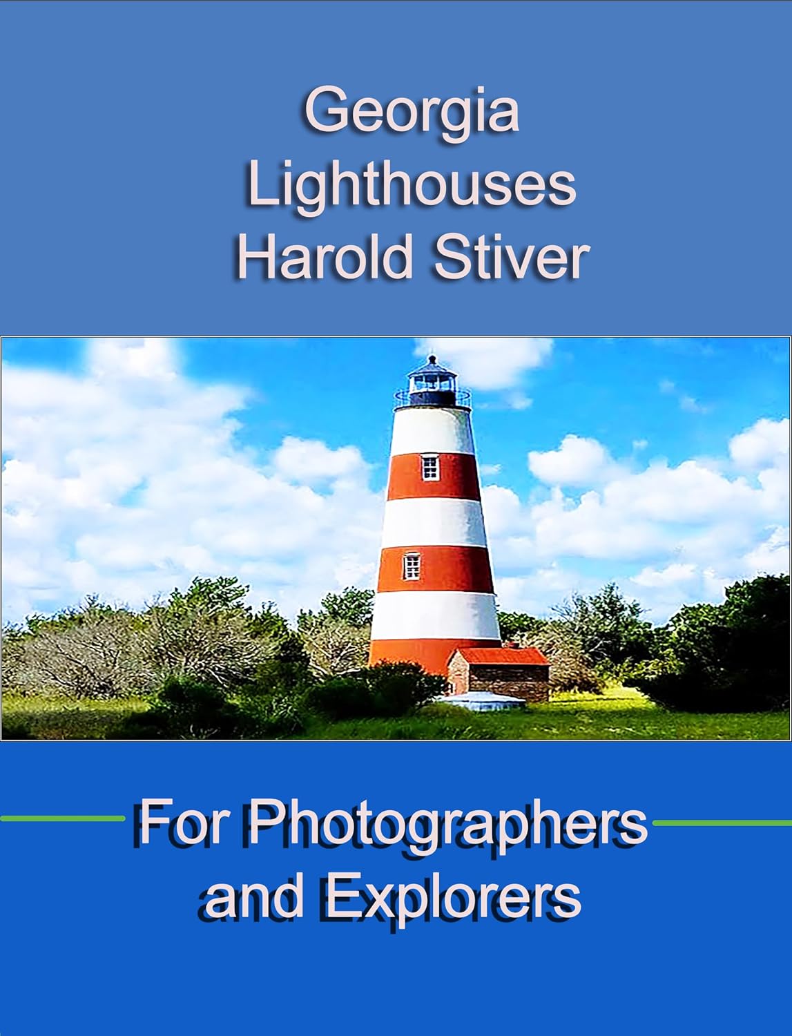 Georgia Lighthouses (English Edition) baixar o livro de graça