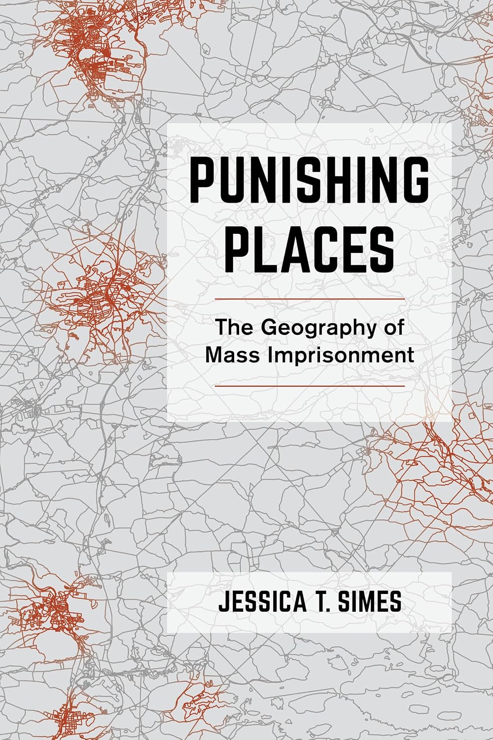 Punishing Places: The Geography of Mass Imprisonment baixar livro de graça