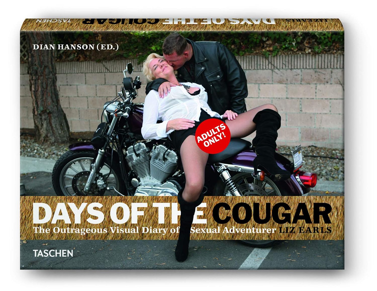 Days of the cougar: the outrageous visual diary of sexual adventurer liz earls baixar o livro de graça