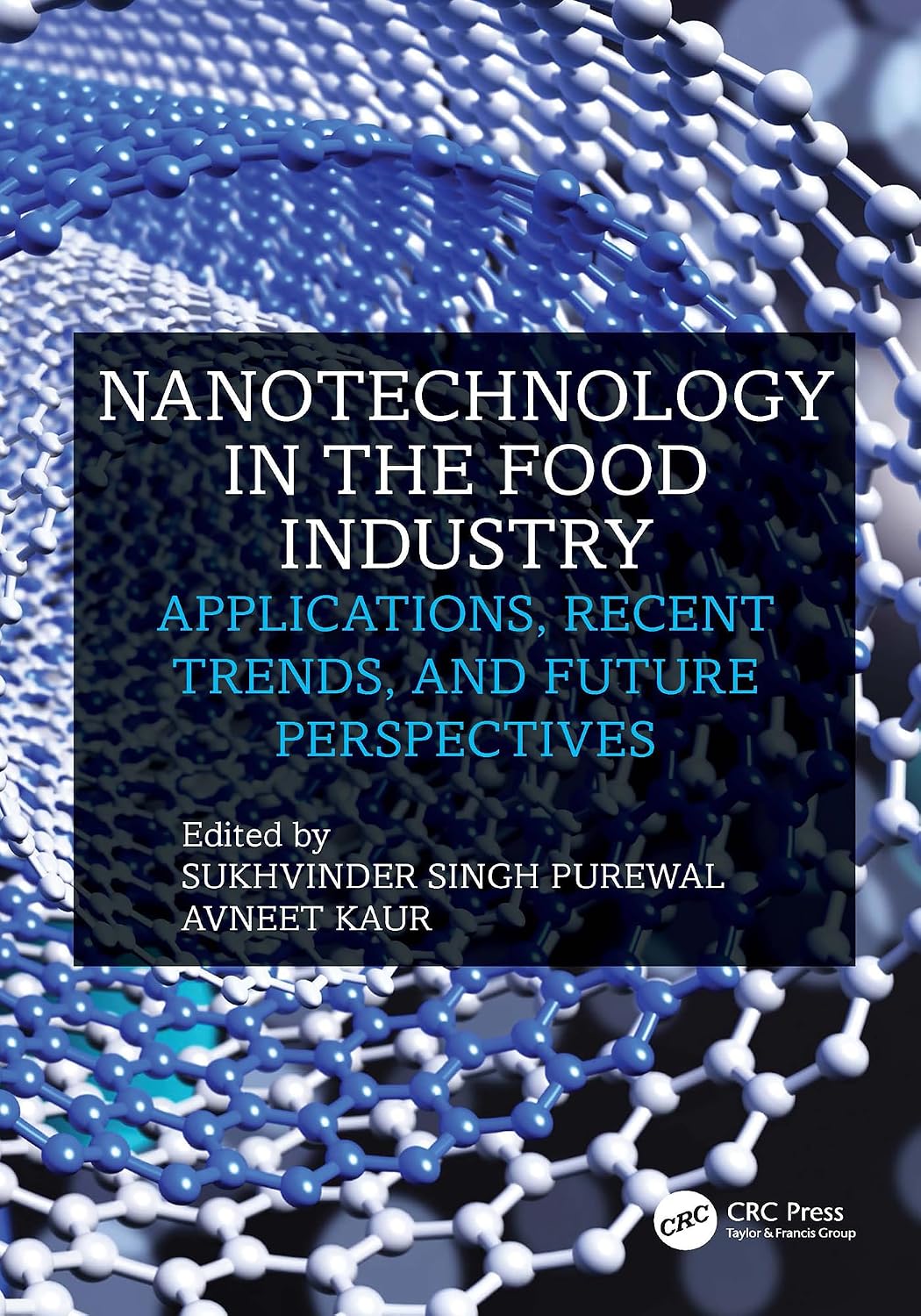 Nanotechnology in the Food Industry: Applications, Recent Trends, and Future Perspectives (English Edition)