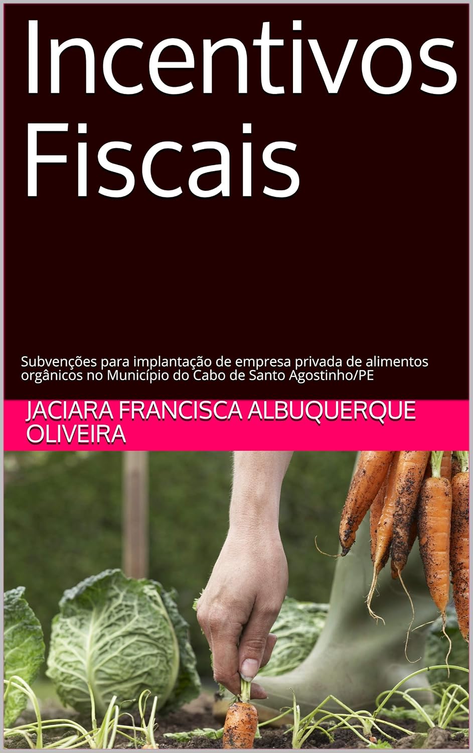 ler totalmente Incentivos Fiscais: Subvenções para implantação de empresa privada de alimentos orgânicos no Município do Cabo de Santo Agostinho/PE