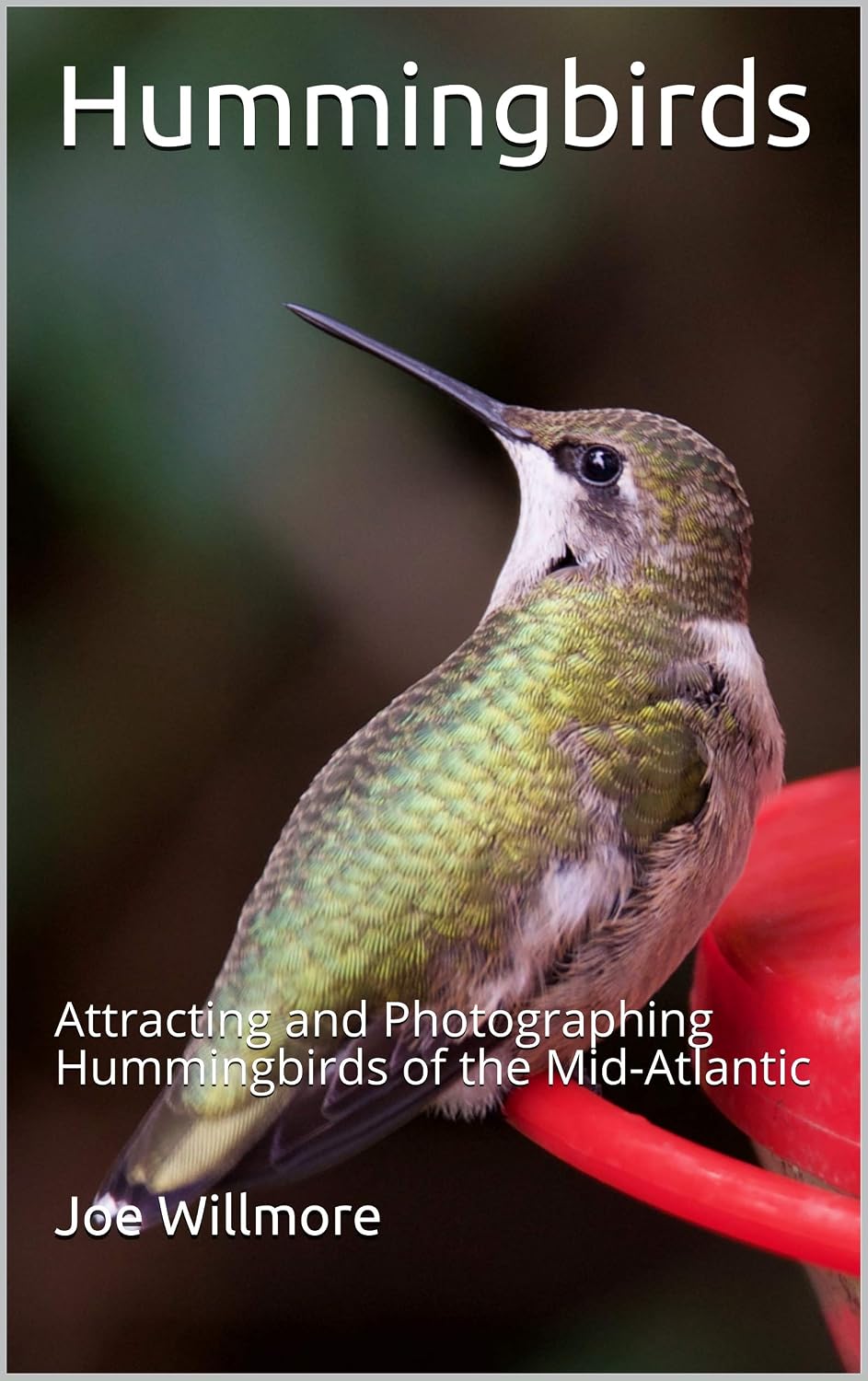 ler totalmente Hummingbirds: Attracting and Photographing Hummingbirds of the Mid-Atlantic (English Edition)