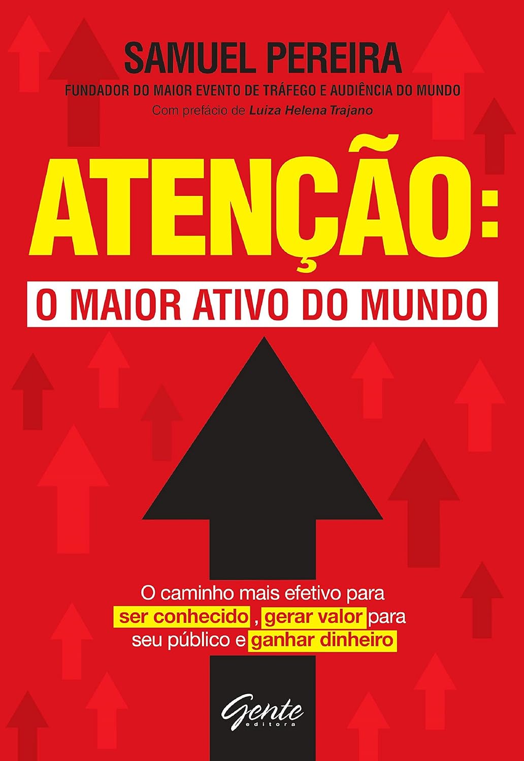 ler totalmente Atenção: o maior ativo do mundo: O caminho mais efetivo para ser conhecido, gerar valor para seu público