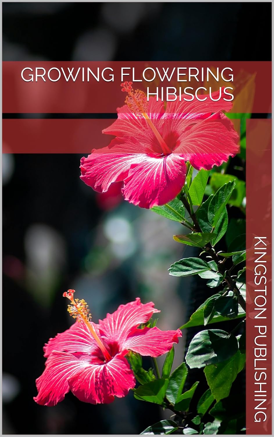 capítulo por capítulo baixar Growing Graceful Flowering Hibiscus (Growing Flowers) (English Edition)
