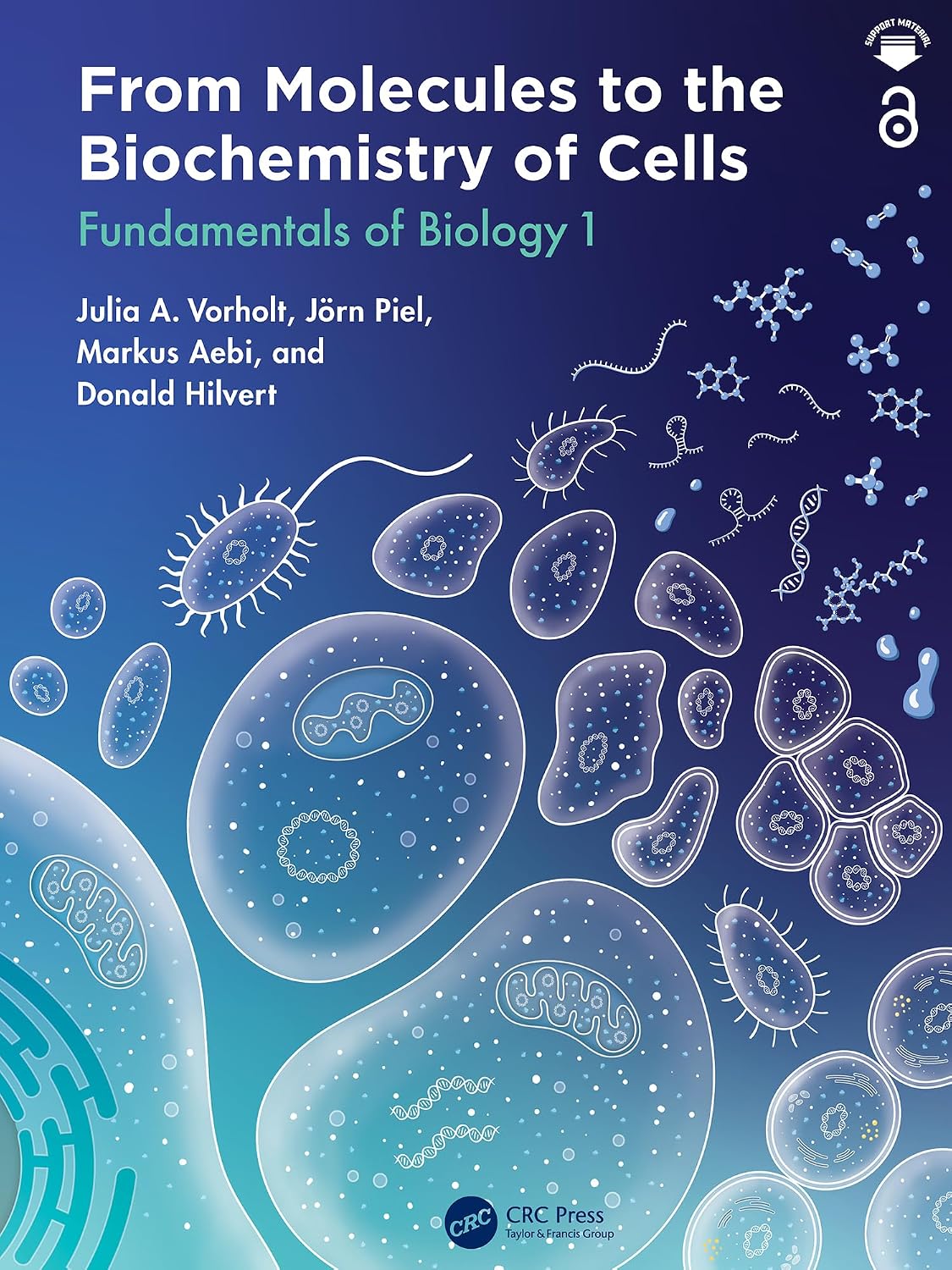 ler totalmente From Molecules to the Biochemistry of Cells: Fundamentals of Biology 1 (English Edition)