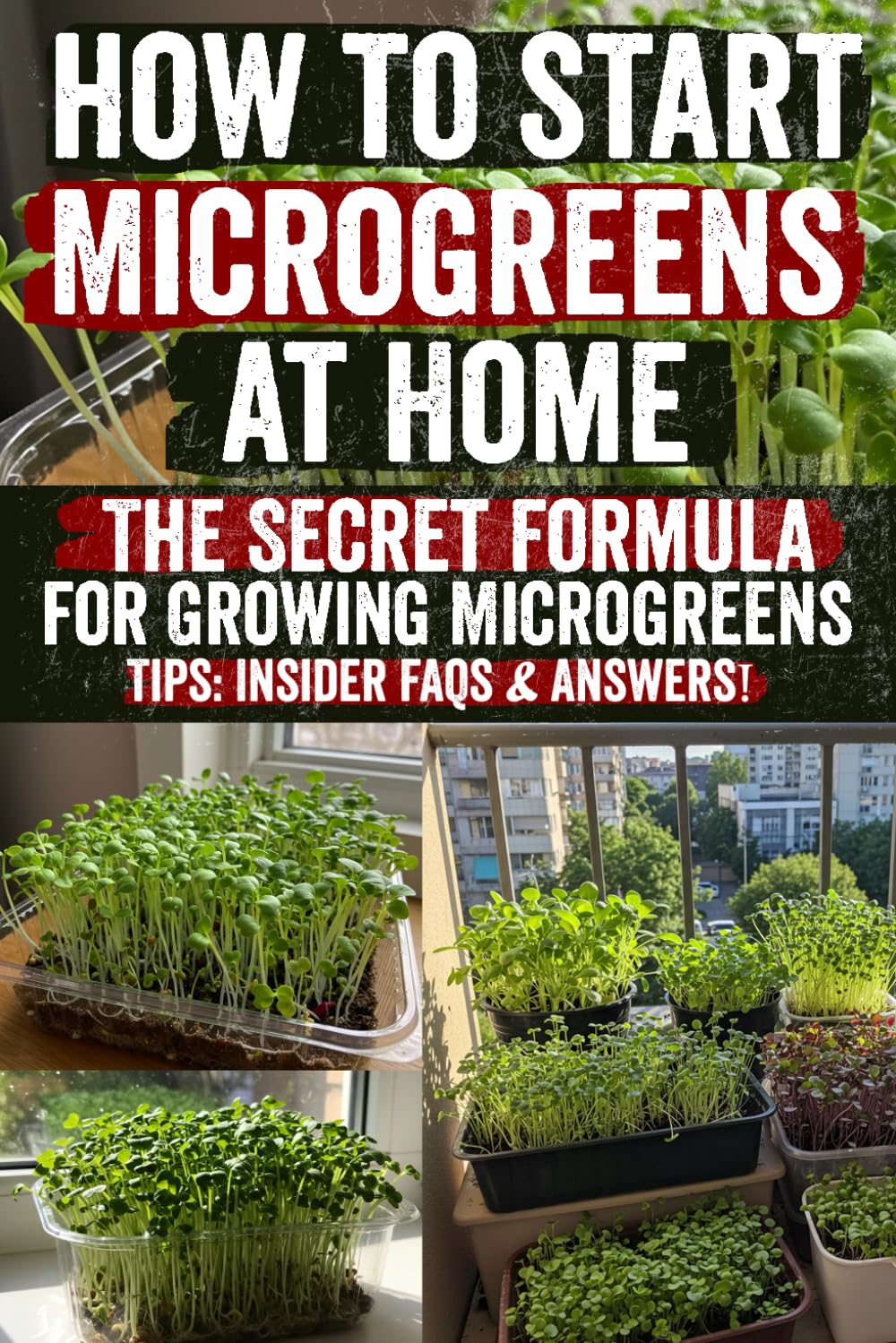 How to Grow Microgreens at Home: Discover Hidden Secrets to Grow Vibrant Microgreens at Home! Proven DIY Tips, Simple Techniques & Insider Guidance to... Just Days – Start Your Green Journey Today! baixar o livro de graça