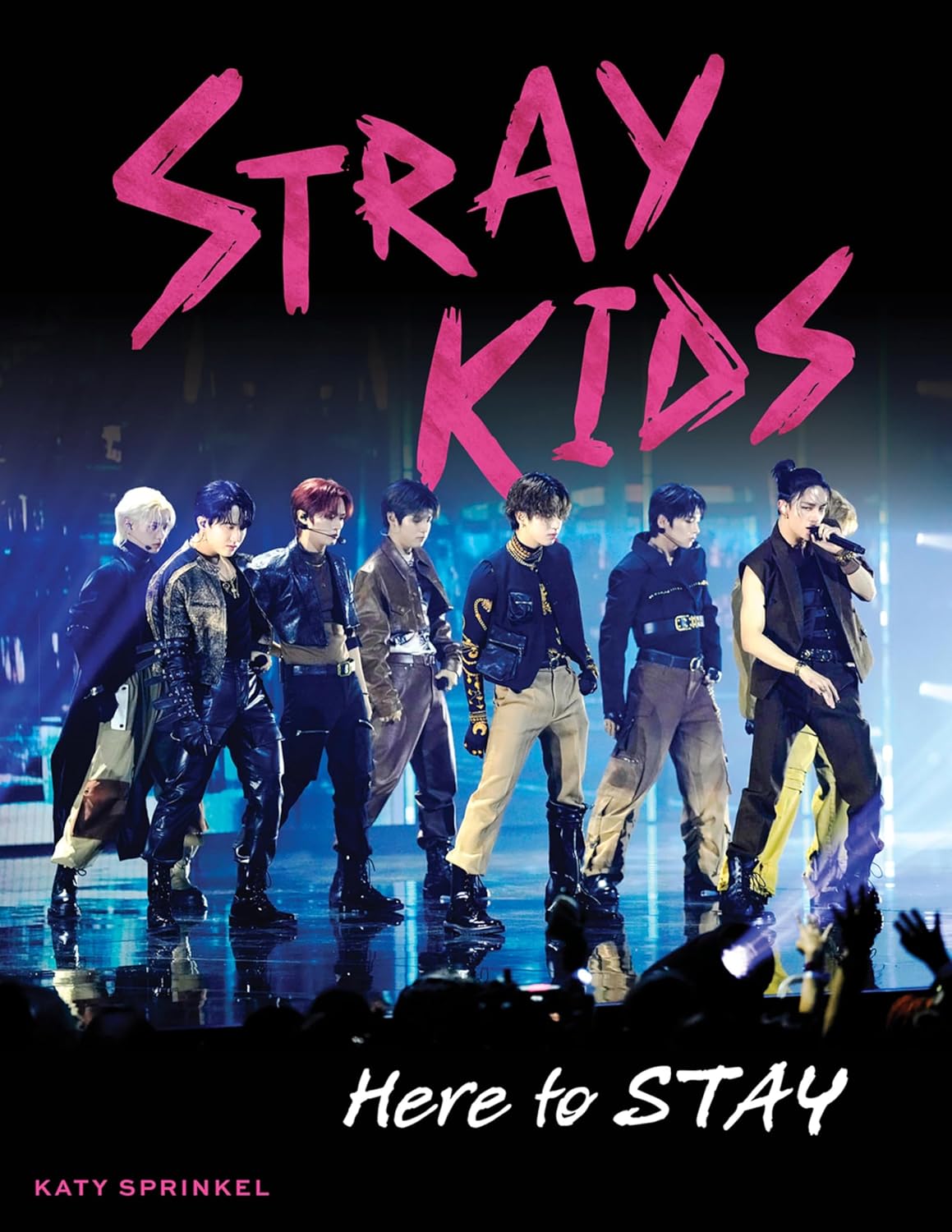 capítulo por capítulo baixar Stray Kids: Here to STAY (English Edition)
