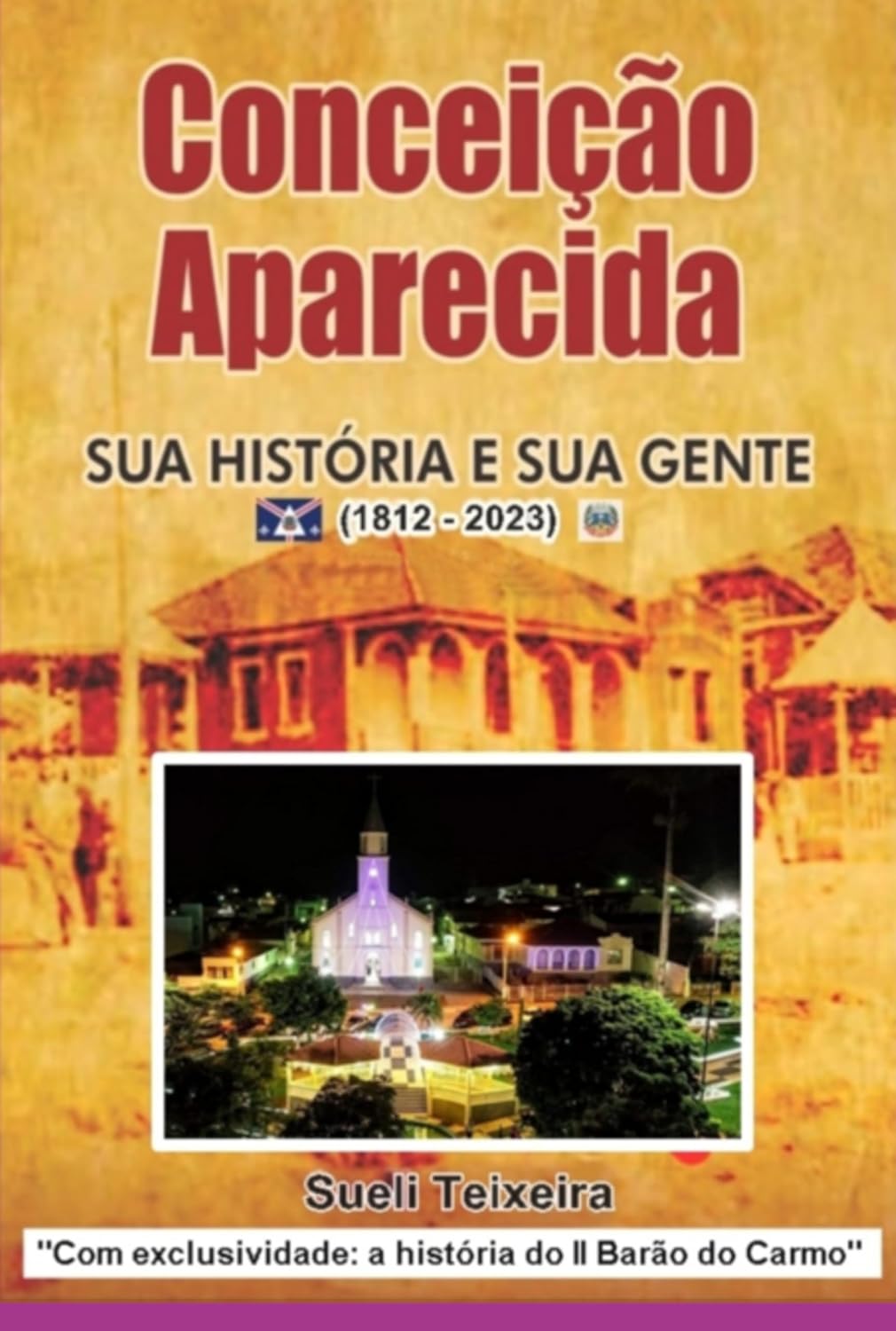 Conceição Aparecida baixar livro de graça
