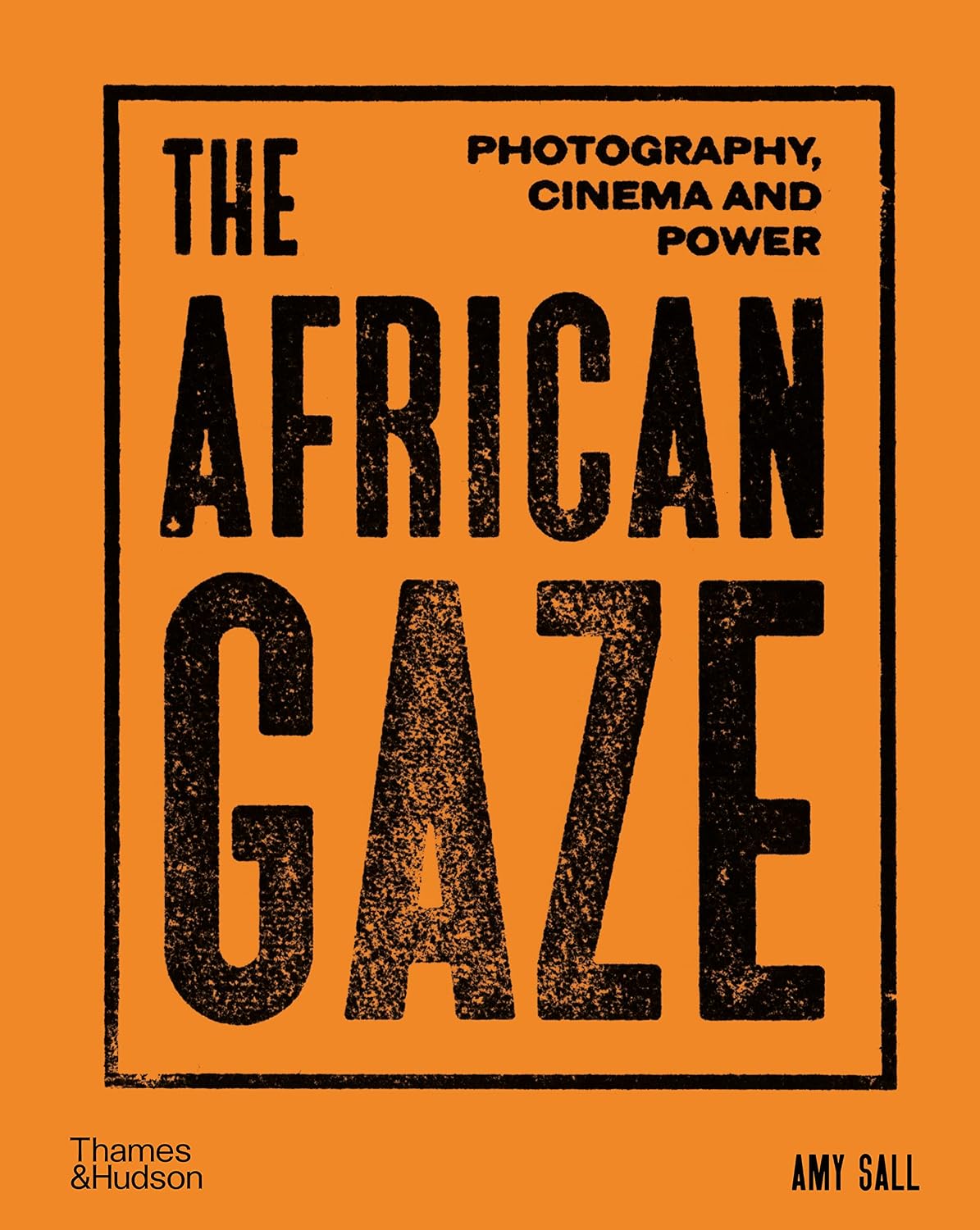 capítulo por capítulo baixar The African Gaze: Photography, Cinema and Power