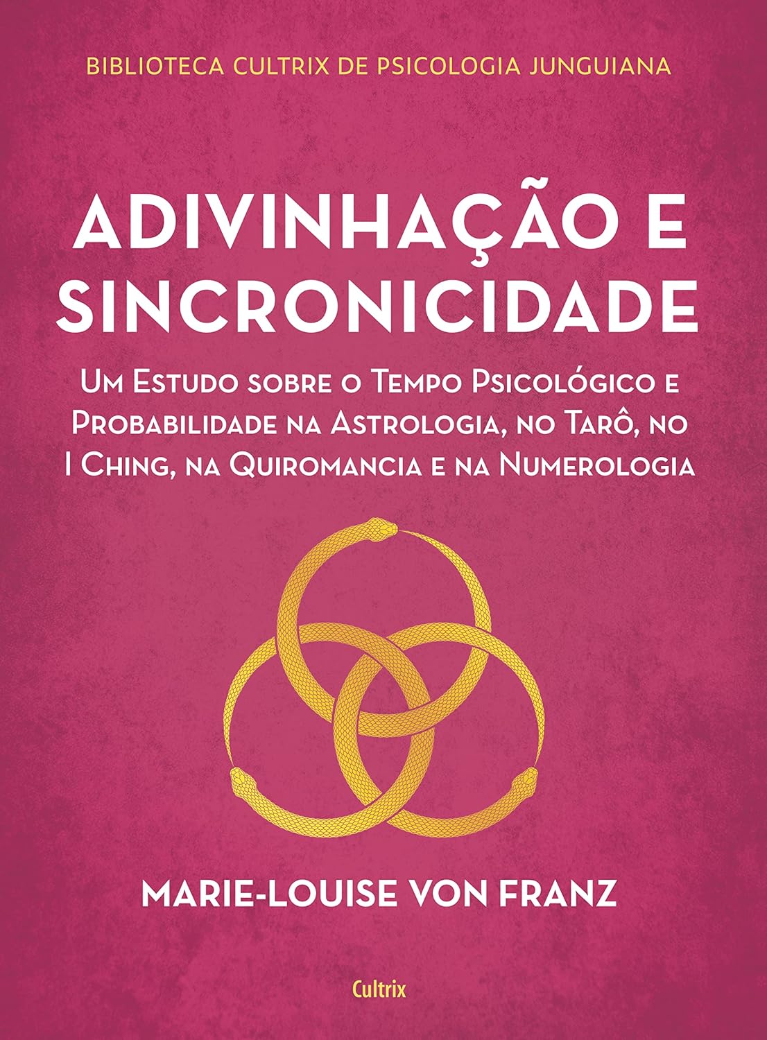 Adivinhação e sincronicidade: Um estudo sobre o tempo psicológico e probabilidade na astrologia, no tarô, no Iching, na quiromancia e na numerologia baixar livro de graça