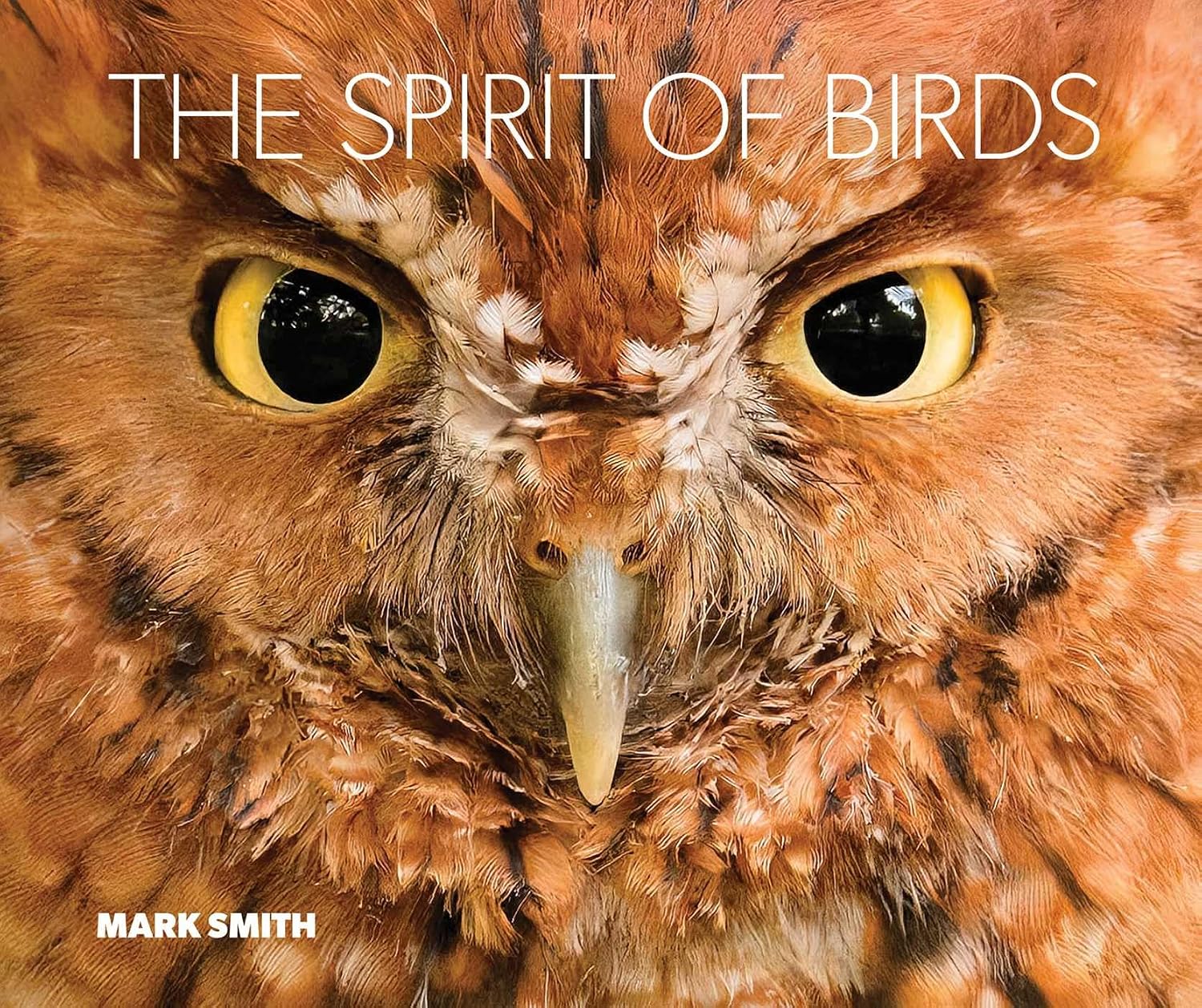 ler totalmente The Spirit of Birds: From World Remowned Nature Photographer Mark Smith (English Edition)