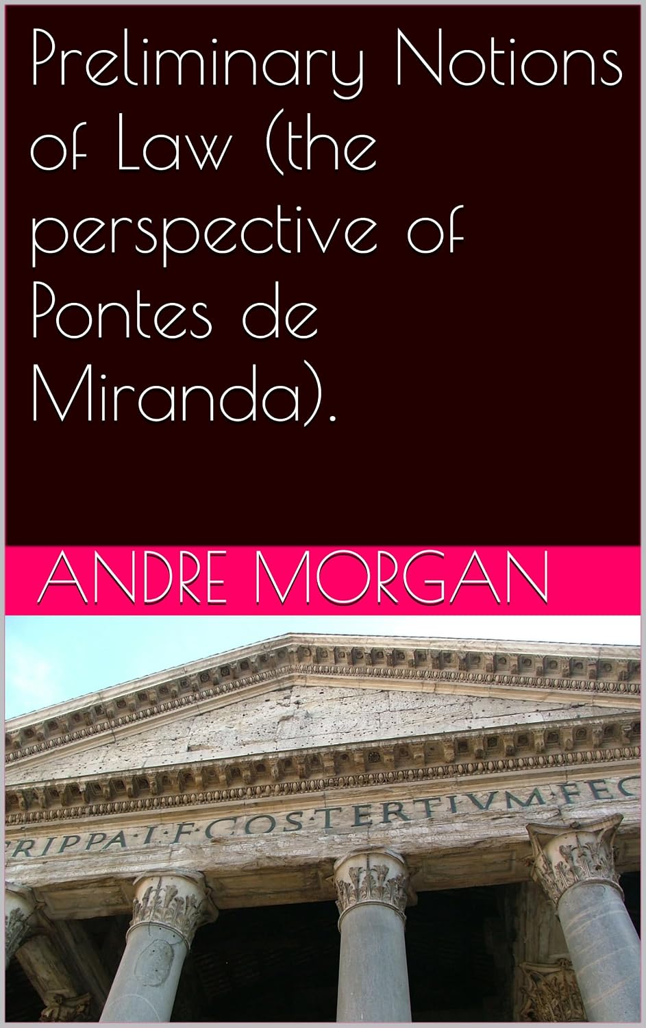 ler totalmente Preliminary Notions of Law (the perspective of Pontes de Miranda). (English Edition)