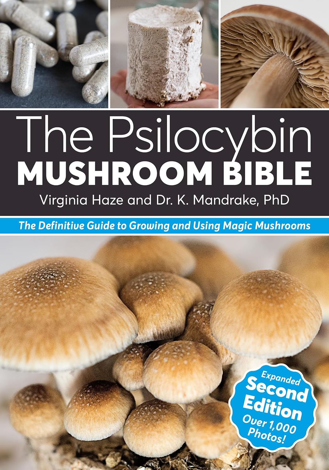 The Psilocybin Mushroom Bible: The Definitive Guide to Growing and Using Magic Mushrooms baixar o livro de graça