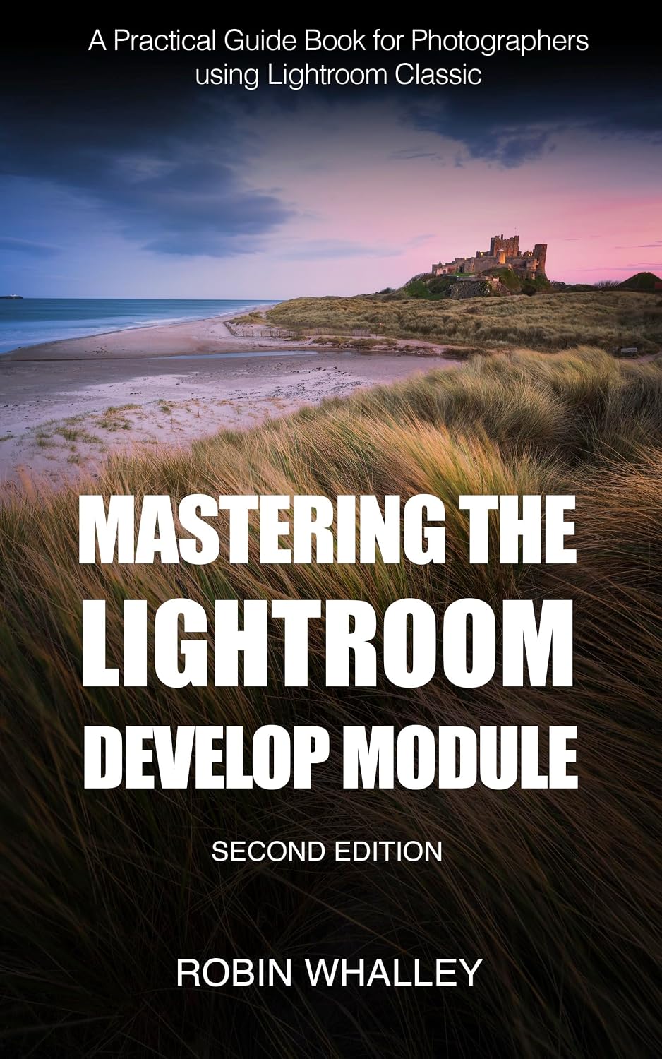 Mastering The Lightroom Develop Module: A Practical Guide Book for Photographers Using Lightroom Classic (English Edition) baixar o livro de graça