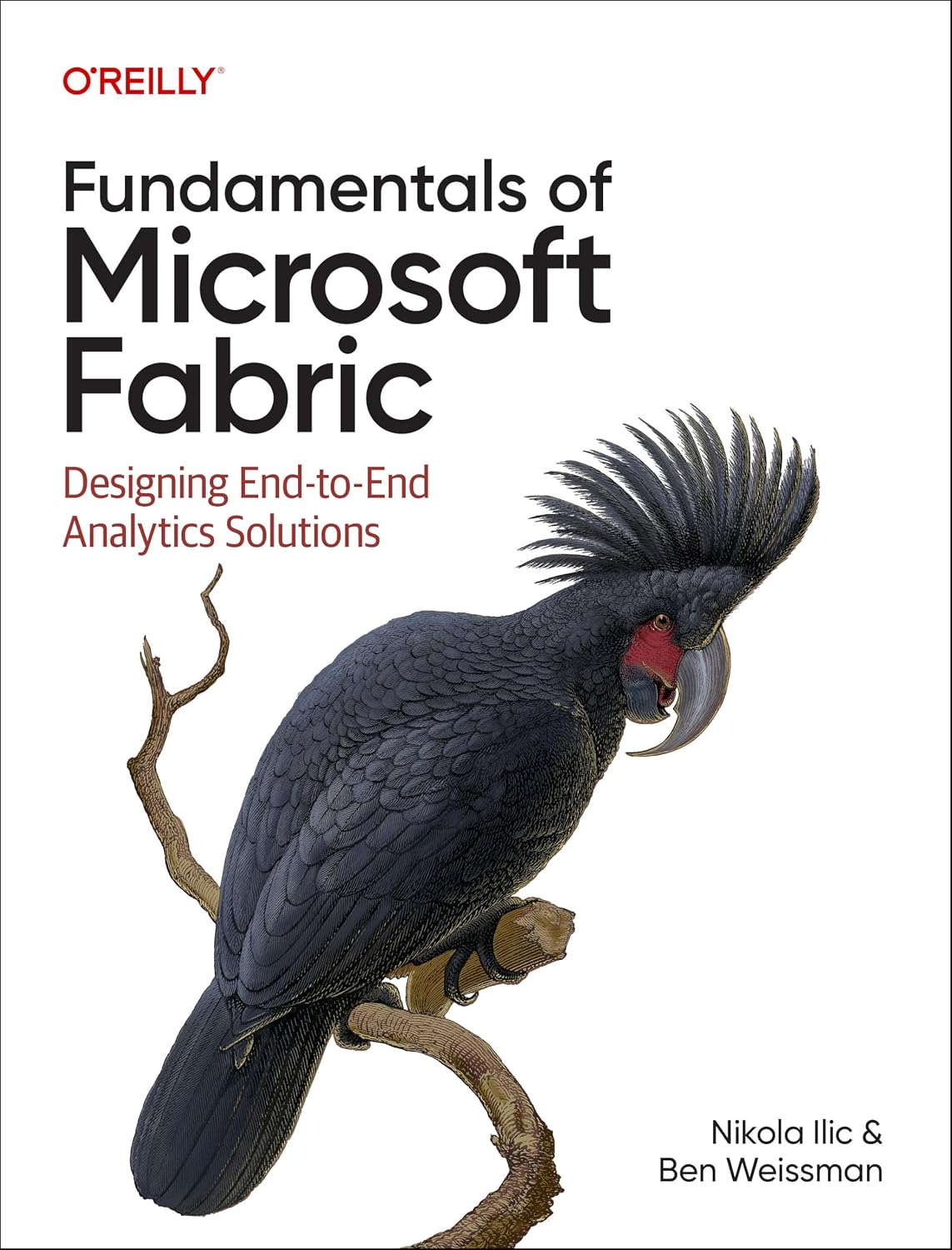 Fundamentals of Microsoft Fabric: Designing End-To-End Analytics Solutions baixar livro de graça