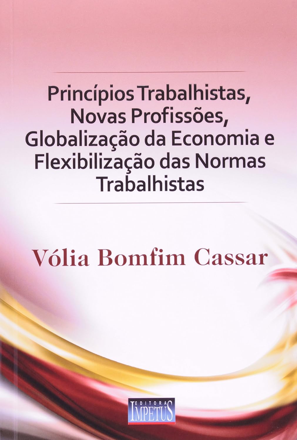 capítulo por capítulo baixar Princípios Trabalhistas, Novas Profissões, Globalização da Economia e Flexibilização das Normas Trabalhistas