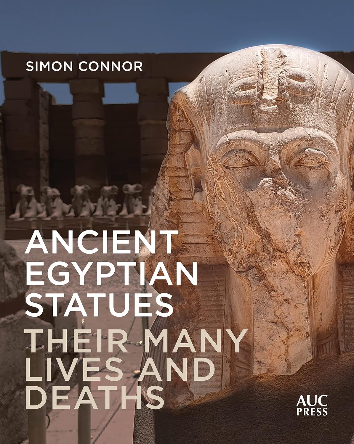 capítulo por capítulo baixar Ancient Egyptian Statues: Their Many Lives and Deaths (English Edition)