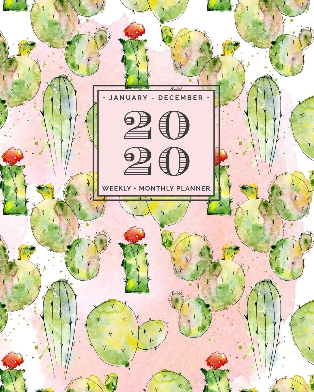 capítulo por capítulo baixar January - December - 2020 - Weekly + Monthly Planner: Pink Watercolor Cactus + Succulent Agenda with Quotes