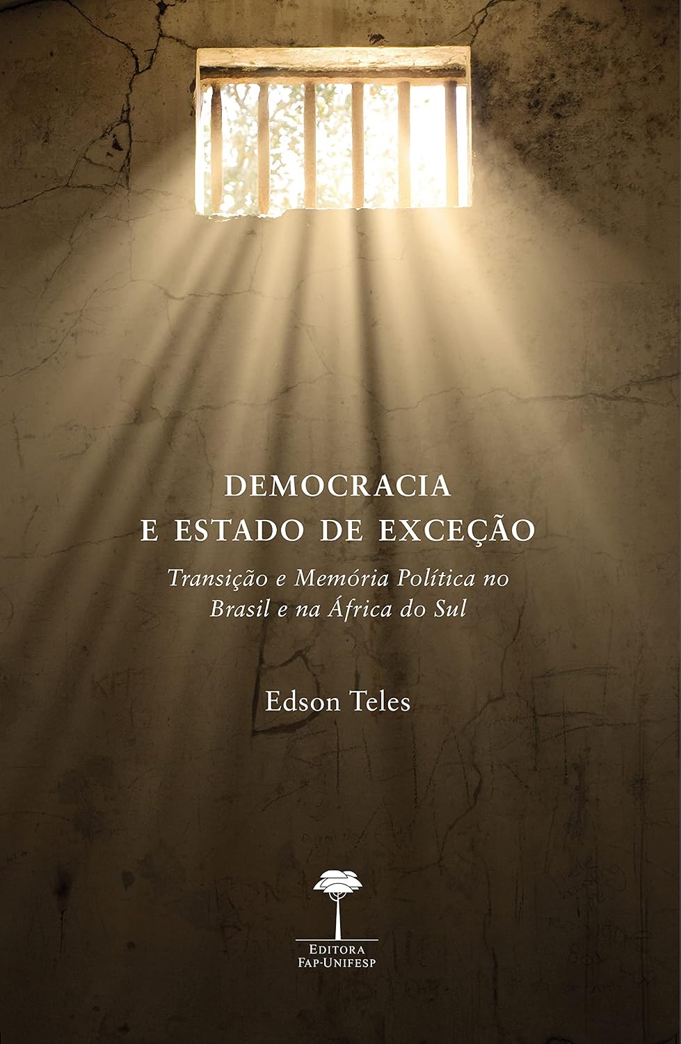 DEMOCRACIA E ESTADO DE EXCEÇÃO: TRANSIÇÃO E MEMÓRIA POLÍTICA NO BRASIL E NA ÁFRICA DO SUL baixar livro de graça