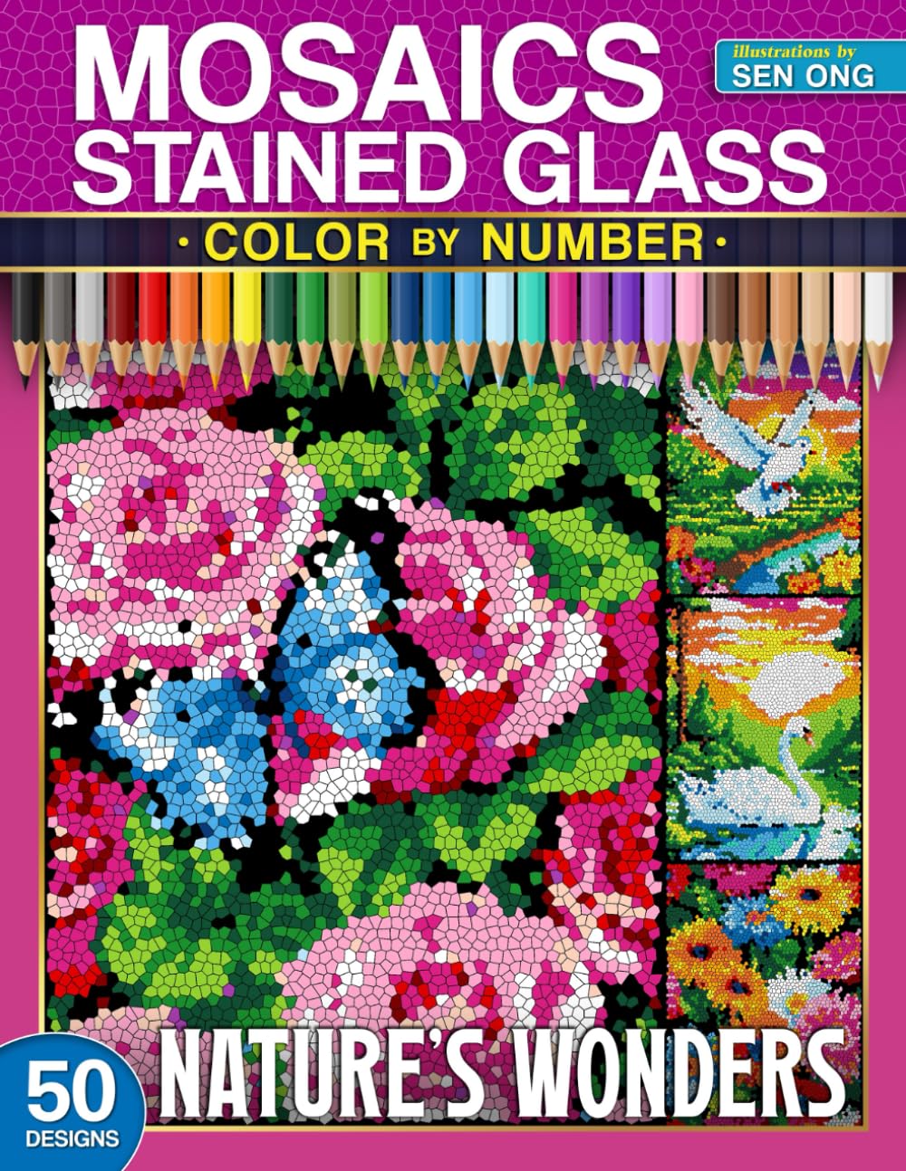 capítulo por capítulo baixar Nature’s Wonders Stained Glass Mosaics Color by Number: 50 Vibrant Scenes of Birds, Flowers, and Butterflies