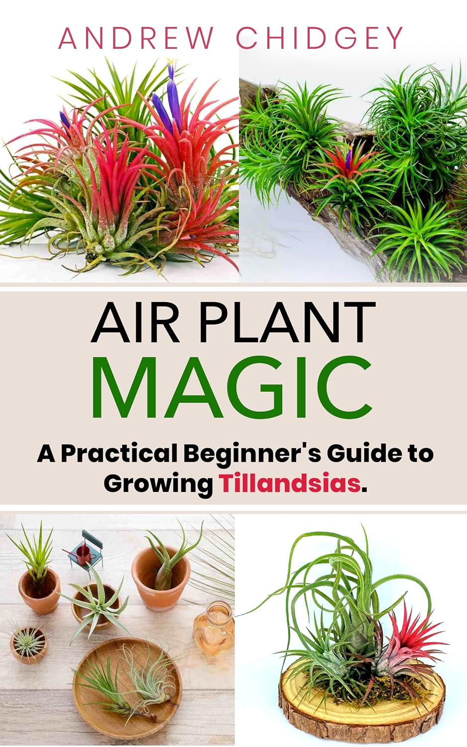 ler totalmente Air Plant Magic: A Practical Beginner's Guide to Growing Tillandsias (English Edition)
