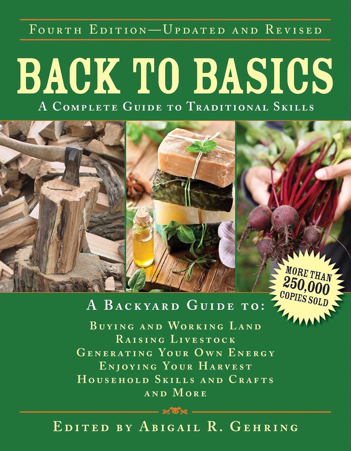 Back to Basics: A Complete Guide to Traditional Skills (Back to Basics Guides) (English Edition)