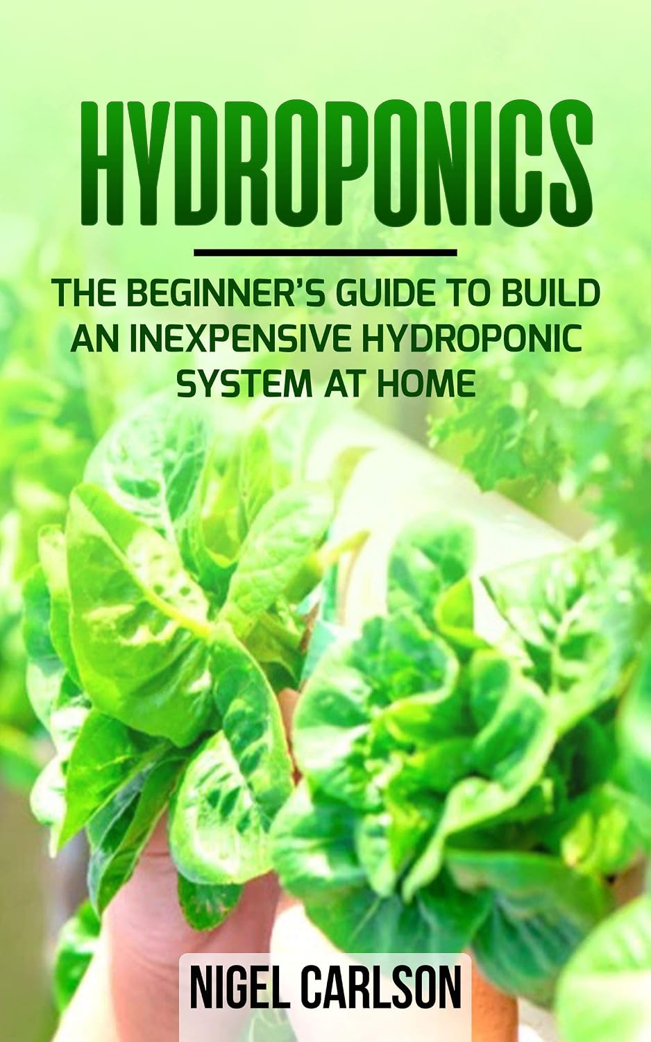 Hydroponics: The Beginner’s Guide to Build an Inexpensive Hydroponic System at Home (English Edition) baixar livro de graça