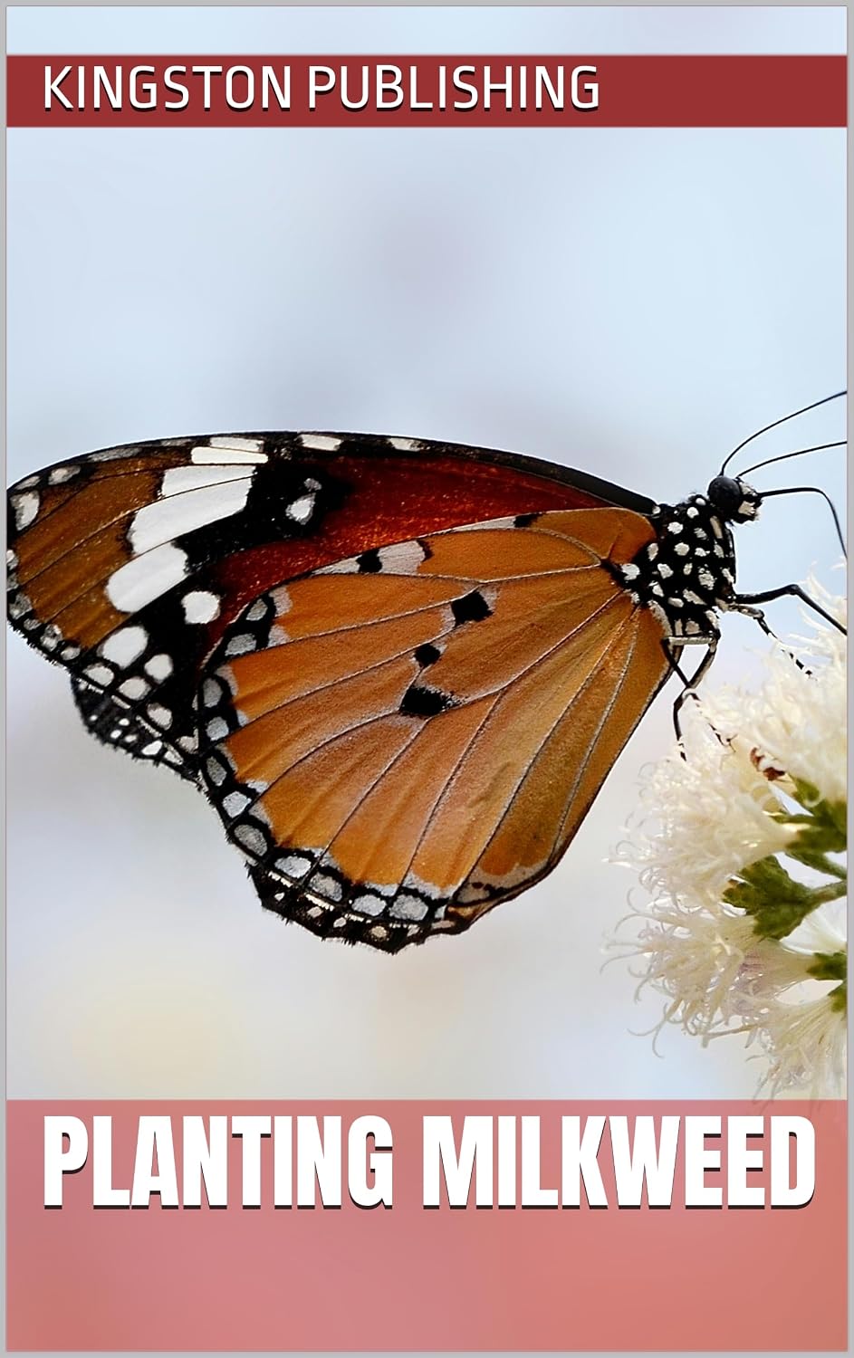 Planting Milkweed (Growing Flowers) (English Edition) baixar livro de graça