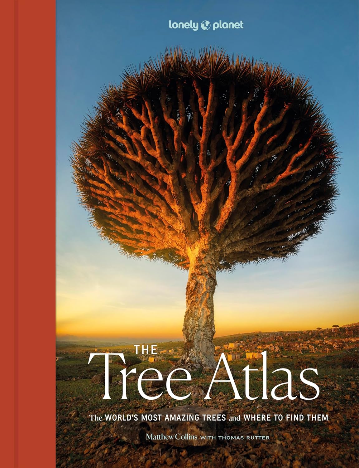 Lonely Planet the Tree Atlas: 50 Magnificent Species Across the Planet Practical Travel Advice to See Each Natural Wonder Exquisite Photography & Illustrations baixar o livro de graça