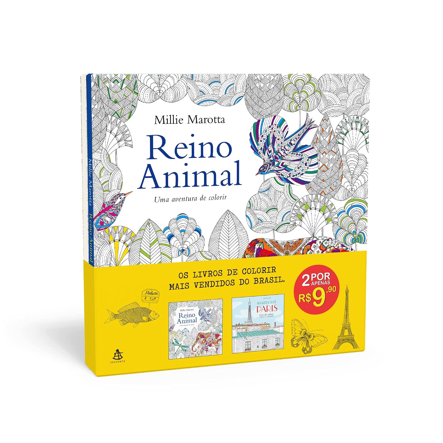 Coleção Livros de Colorir: Reino Animal + Segredos de Paris baixar livro de graça