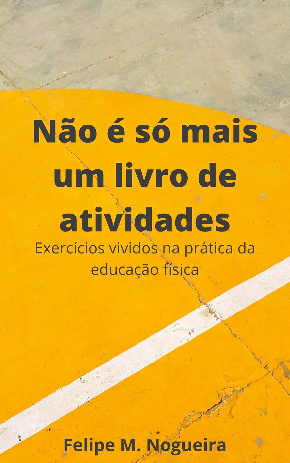 Não é só mais um livro de atividades: Exercícios vividos na prática da educação física baixar o livro de graça