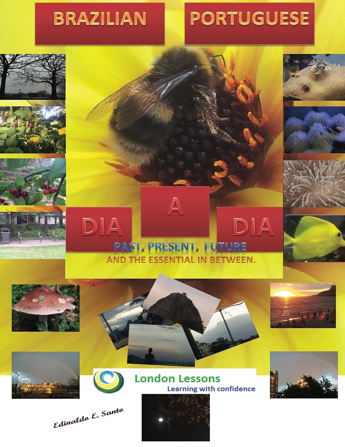 ler totalmente DIA A DIA: PAST, PRESENT, FUTURE (Brazilian Portuguese Livro 1)